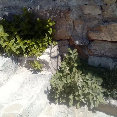 Vakantiehuis Ana Split